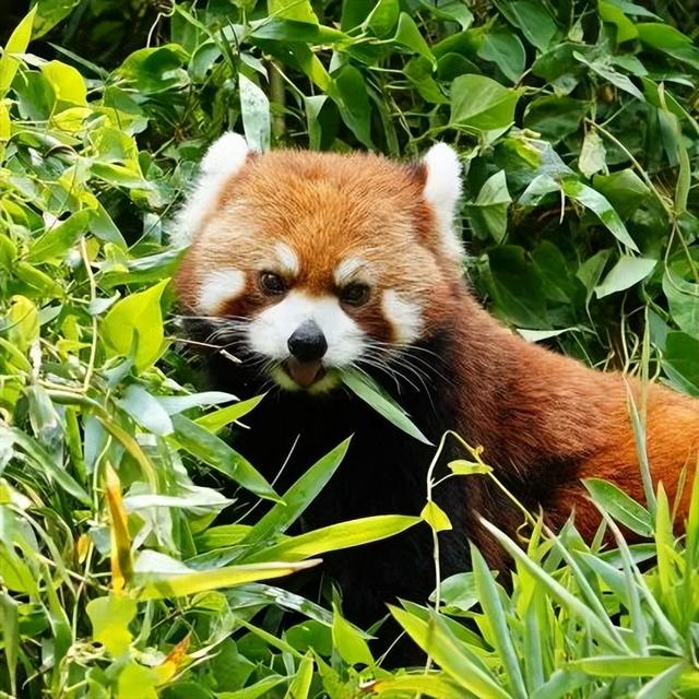 快查！你中奖了没