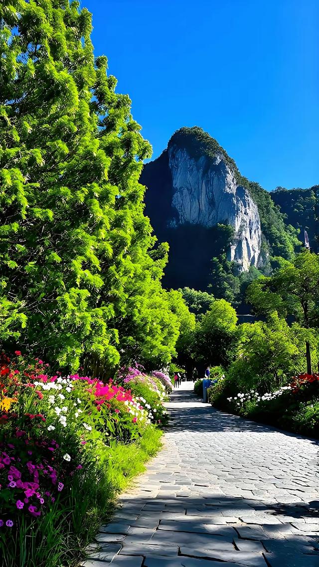 湖岸花影与远山