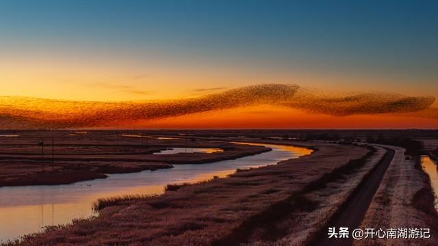 走，去渤海湾看候鸟…