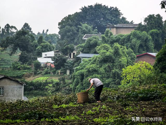 在四川巴盐西运的“盐运第一滩”，我是流着口水逛完这个古镇的