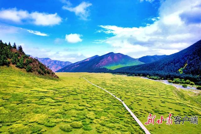“高原画廊”——天祝