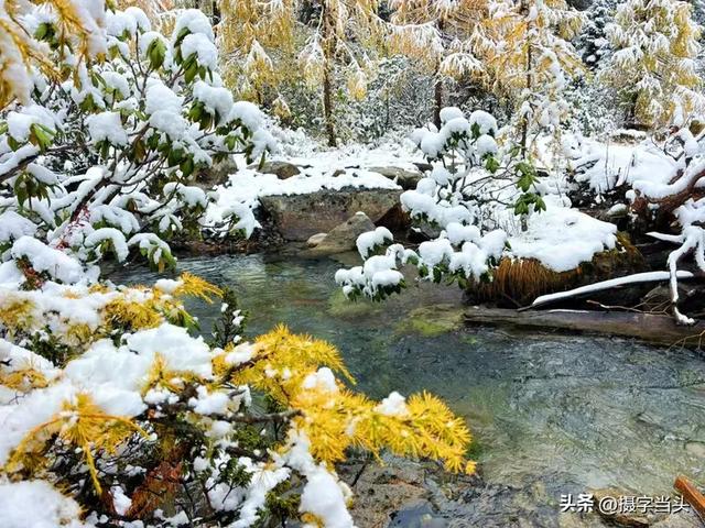甲依拉措 ：一场白雪与彩林的盛宴