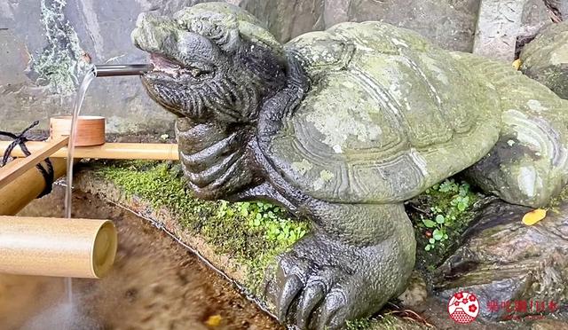 北陆新干线「金泽」到「敦贺」路线，周边推荐景点8选