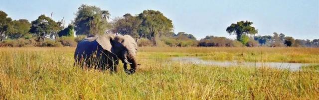 2026封神旅行清单！非洲五国（南非/东非）23天狂野之旅，太顶了