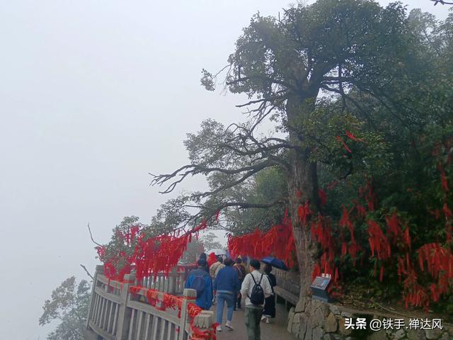 2025湖南行：仙气飘飘～莽山五指峰