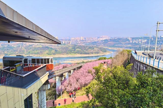 开往春天的列车，发车！这3个地方最出片！