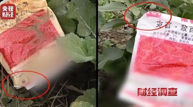央视曝光“毒蔬菜”！0.08克便可致器官衰竭，已流窜到全国多地