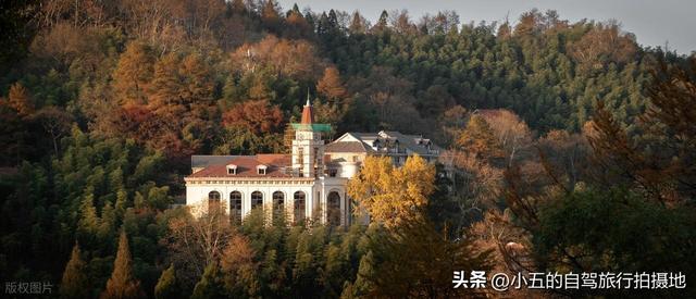 浙江 7 大红枫观赏地实测攻略！附精准时间 + 避坑技巧，收藏直接冲