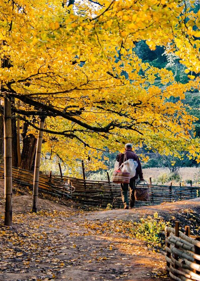 11月旅行地推荐！这13个赏秋地无对手，还藏着国内四大绝美秋色