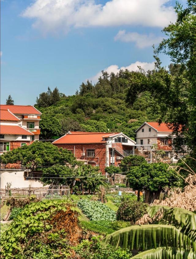 厦门东山社，城市中的宁静之地，厦门版世外桃源，藏于岛内深山中