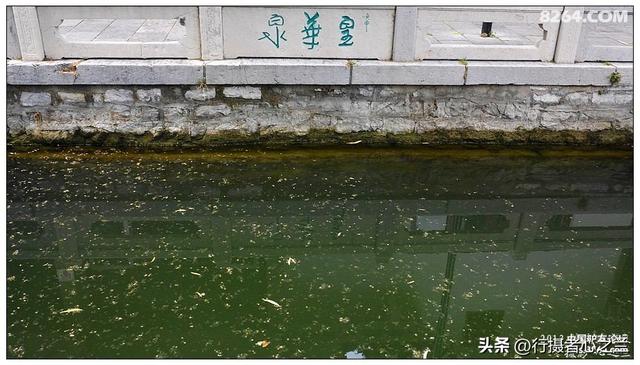 山东行游影记（11）—济南趵突泉（十一）