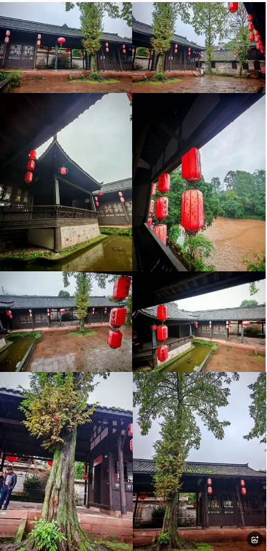 老兵军嫂游柳江：曾家园里看古树，烟雨河畔话当年