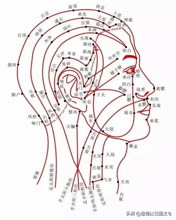 人体-结构-功能-系统
