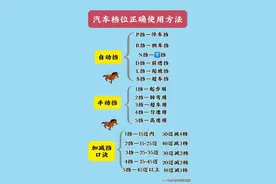 汽车档位正确使用方法，终于有人整理出来了，涨知识了，看看吧图片