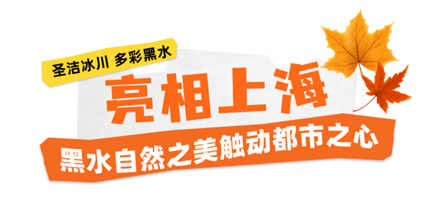 千里相约，山水相逢！黑水文旅亮相上海！这场推介太圈粉了→