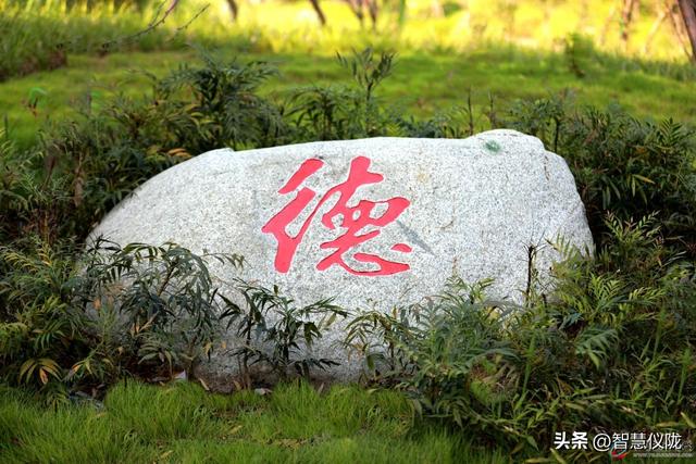 美美哒！来仪陇，邂逅四川张思德干部学院的初冬浪漫！