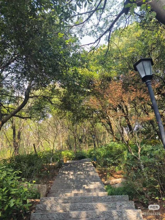 周末好去处 | 被临沂户外徒步地 美哭了！