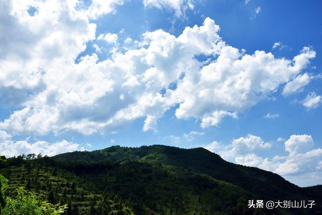 固始锁口梯田将迎来金色拍摄期