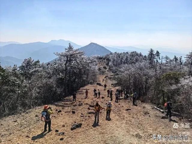 邂逅2026年的第一场醉美雾凇!温州四海山的雾凇美爆了!