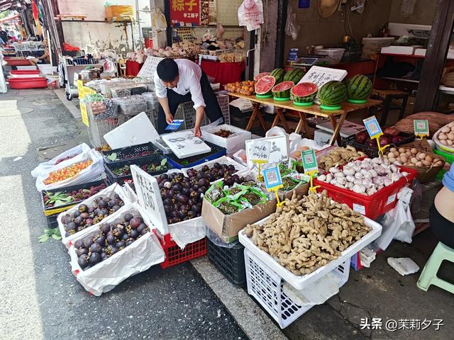 杭州旅游攻略看展逛博物馆老街菜市场换个城市走走停停文艺风