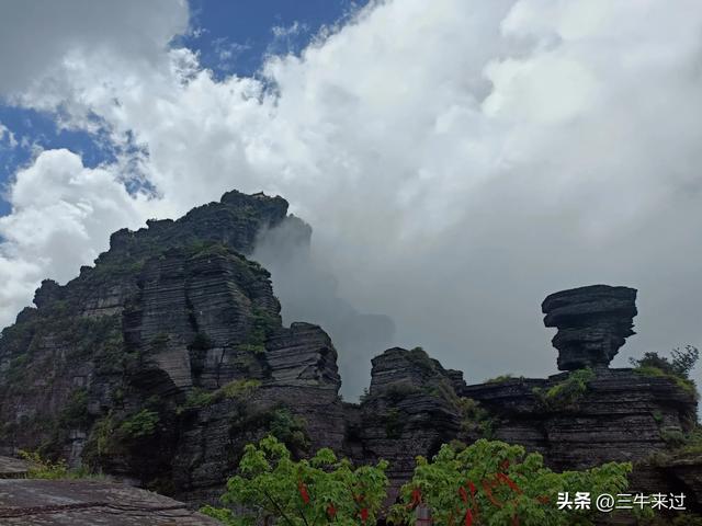 无为在歧路，贵州六日行（15）～梵净山