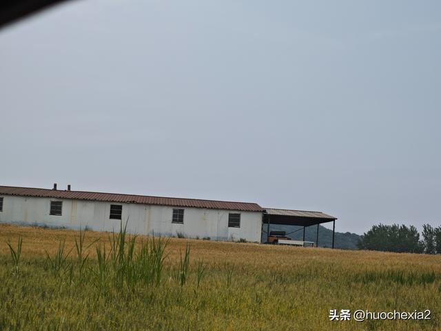 隔壁的城市走一走——镇江丁岗五七林场