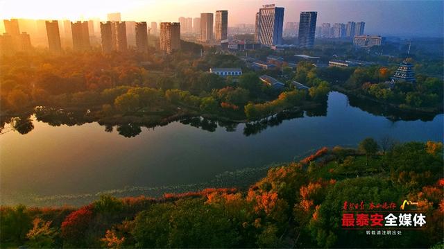 秋日宁阳，定格金色浪漫