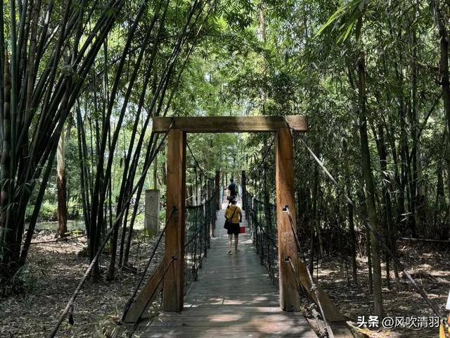 成都一个低调4A级森林公园，有240多年历史，都市人的“后花园”