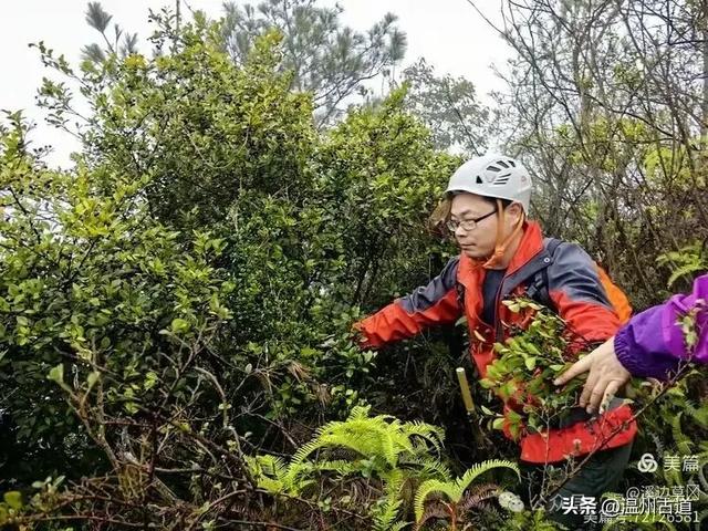 温州这条以峡谷景观和险峻山势为特色的徒步线路你可去过？