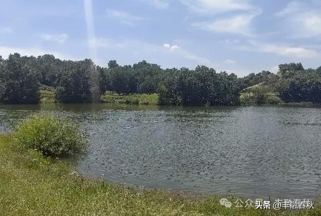 美丽的公主湖｜ 李 芳