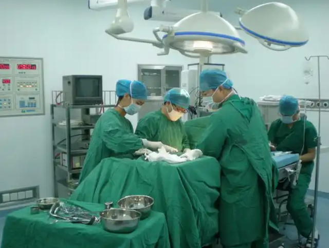 大量韩国游客涌入长春，打着旅游幌子不去旅游不吃美食，为啥来？