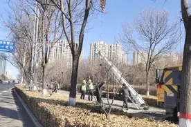 【春雷行动】同题共答起好步 全力以赴开新局图片