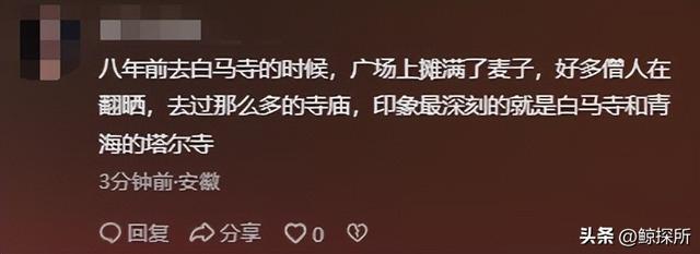 不到24小时，少林寺新住持就被各大网友质疑，连理由都出奇一致