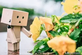 丧偶的人，用哪几种方式继续生活？过来人告诉你4种方式图片