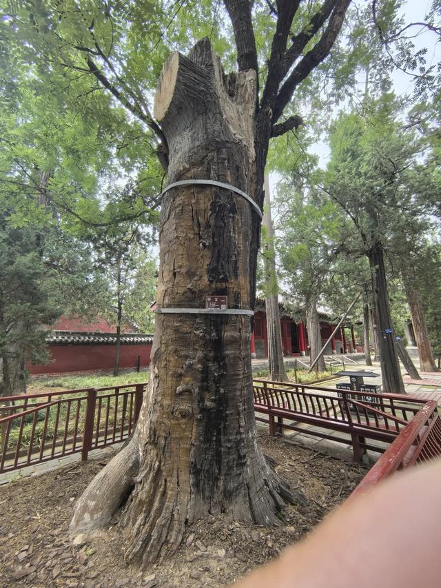 山东邹城游记