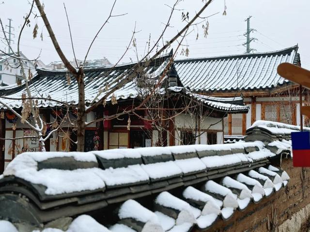 来延吉当一天在逃公主！冰雪民俗园太出片了