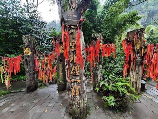 踏迹寻音：溯历史 赏美景 去过N次乐山，还是不过瘾