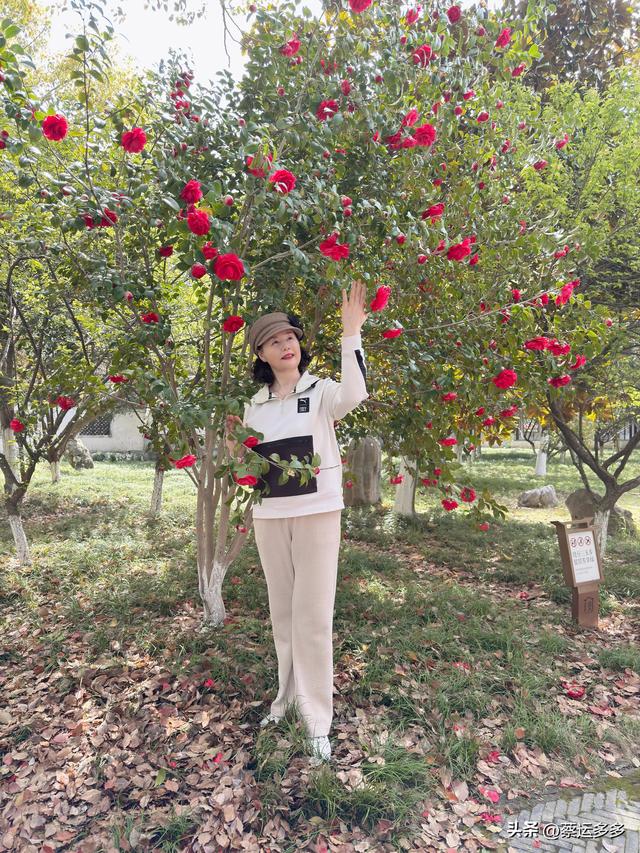 清明访千灯，顾园寄幽思