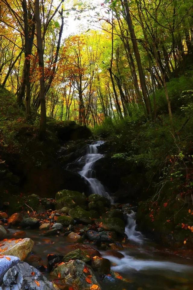 太洋公路已通车！去黄柏塬赏秋现在就出发！