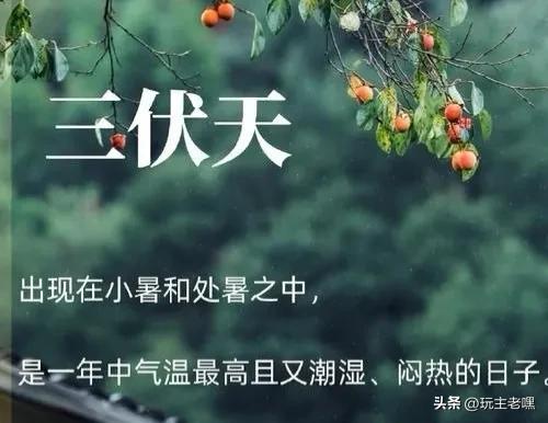 疆藏云贵行69，入伏