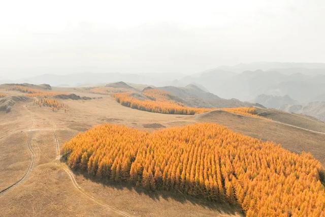 进度已达90%！呼和浩特进入全盛期！最近每天都不一样，呼市人抓紧出门