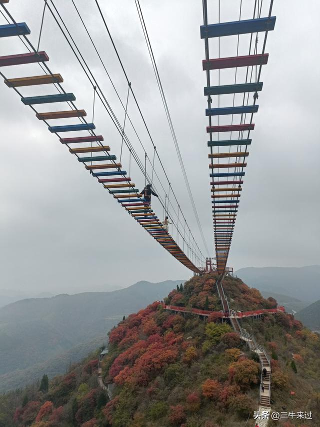 无为在歧路，柿岩之红叶