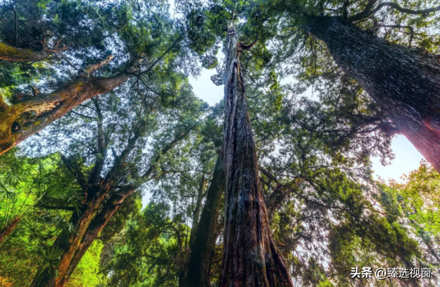 开工倦了？来剑阁，把生活调回松弛频道~