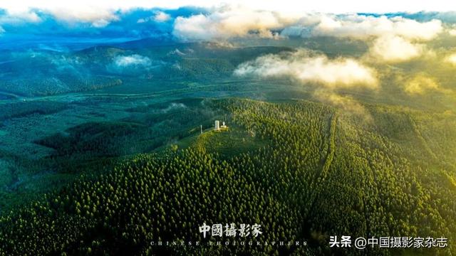 林树国｜塞罕坝林海之歌