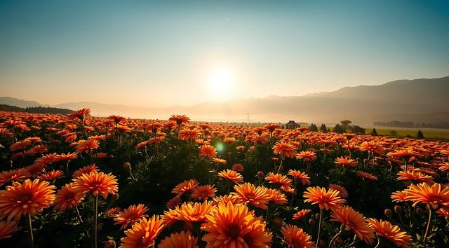 去了趟河南，忍不住想说：别轻易往开封跑，除非你摸透了这些门道