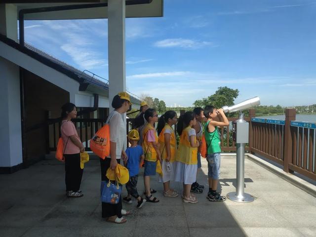 “童护湿地·古韵新生”生态文化研学行动点亮杜公湖