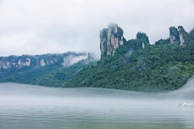当你用《疯狂动物城》的视角打开恩施