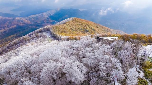 秋之彩色吉林｜吉林大青山：一半绚烂，一半素雅