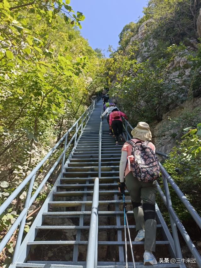 无为在歧路，白露潭溪山