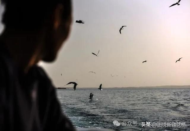 【塔里木河的记忆】康拉克湖，沙在湖中、湖在沙中